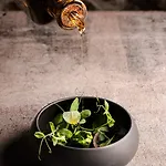 Demeures & Chateaux De La Tour - & Restaurants - Auvergne 4* Marcolès