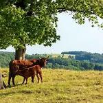 Demeures & Chateaux De La Tour - & Restaurants - Auvergne Szálloda 4*
