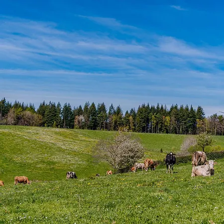 酒店 Demeures & Chateaux De La Tour - & Restaurants - Auvergne