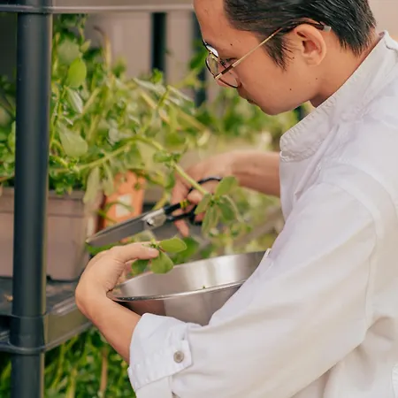 Hotell Demeures & Chateaux De La Tour - & Restaurants - Auvergne