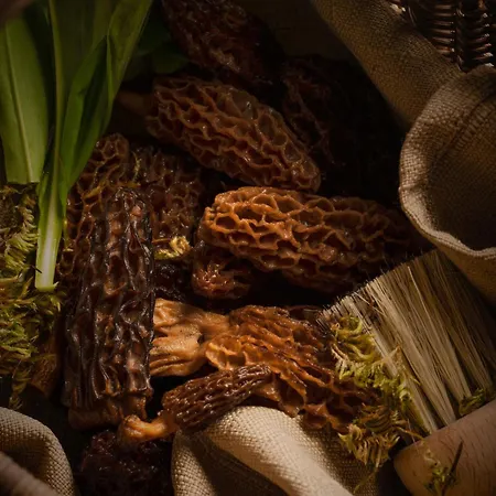 Demeures & Chateaux De La Tour - & Restaurants - Auvergne 4*