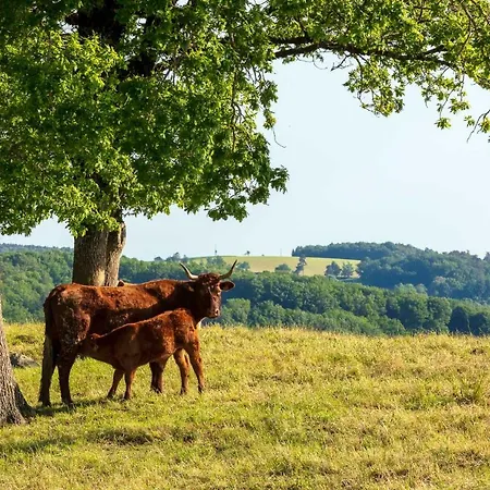 Demeures & Chateaux De La Tour - & Restaurants - Auvergne فندق 4*